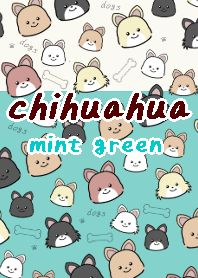chihuahua theme10 mint green