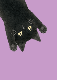 A unique cat22 light purple