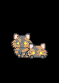 Tortoiseshell Cat*darkmode*long-haired*