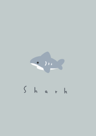 鯊魚 /mint gray