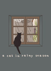 梅雨と猫 + アイボリー