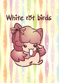 White rot birds
