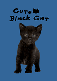 ##Cute Black Cat / Blue