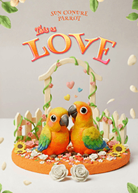 Sun Conure Parrot : This is Love