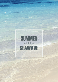 SUMMER BLUE SEA WAVE HAWAII 17