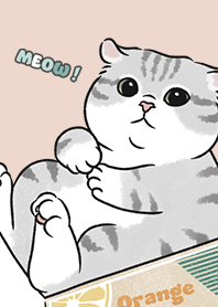 neko single15 / sea shell