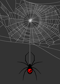 spider black widow