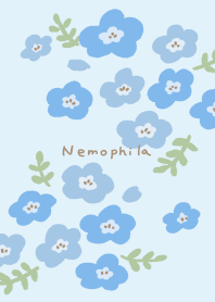 Yurukawa Nemophila