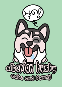 Siberian Husky Cute and Funny