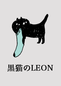 LEON of a black cat
