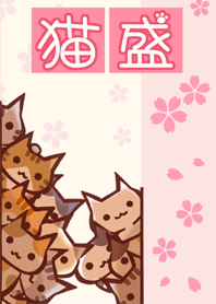 猫盛17　ネコのたまり場　桜ver