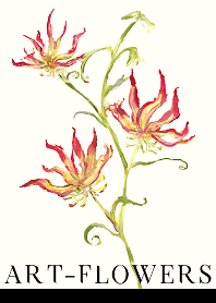Art-flowers Gloriosa