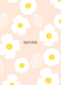 Stylish white flowers leaves23 Japan