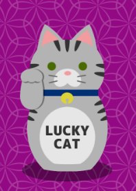 LUCKY CAT[American Shorthair]