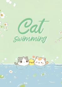 cat couple are swimming