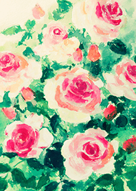 Beautiful rose flower(R4967)