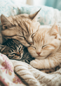 Together Always 2