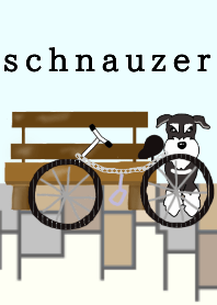 cute but cool schnauzer 1
