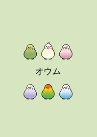 我養的小鸚鵡(淺綠色)