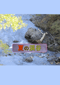 夏の渓谷