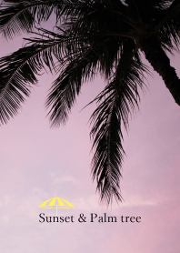 sunset and palm tree 13