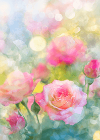 Beautiful rose flower(R2713)