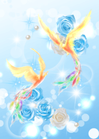 Wish come true,Golden Phoenix Bluerose 2