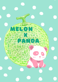 Melon x Panda