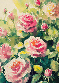 Beautiful rose flower(R4510)