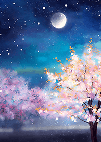 Beautiful night cherry blossoms#620