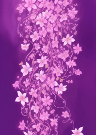 紫色花蝴蝶 OKnCR
