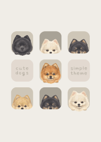DOGS - Pomeranian - GREEN GRAY