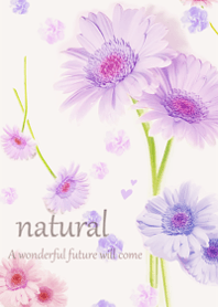 Happy gerbera flower19