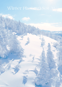 Winter Photo #3-6 Not AI