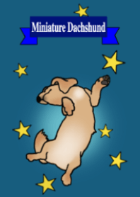 元気なミニチュアダックスのクッキーくん 2