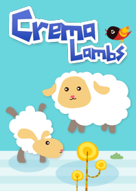 Crema Lambs