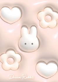orange Dream Rabbit08_2