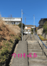 從斜坡的底部“今天增長”