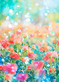 Beautiful rose flower(R5619)