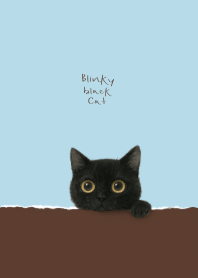 Blinky Black Cat Blue Chocolate Brown 2