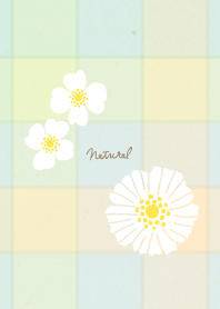 Check Pretty white flowers17