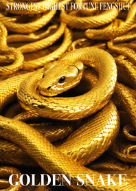 Golden Snake Lucky 64