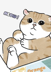 neko single16 / white smoke
