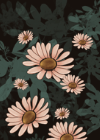 ดอกไม้ : ดอกเดซี่