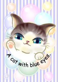 A cat with blue eyes