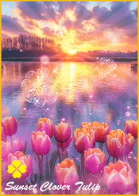 Sunset Clover Tulip*