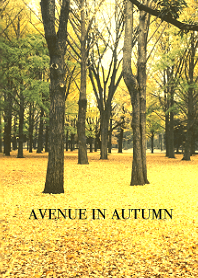 AVENUE IN AUTUMN