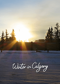 Winter in Calgary (21)