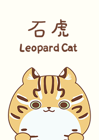 น่ารัก เสือ เสือดาวแมว