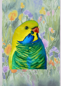 พื้นหลังนกแก้วมีความสุข